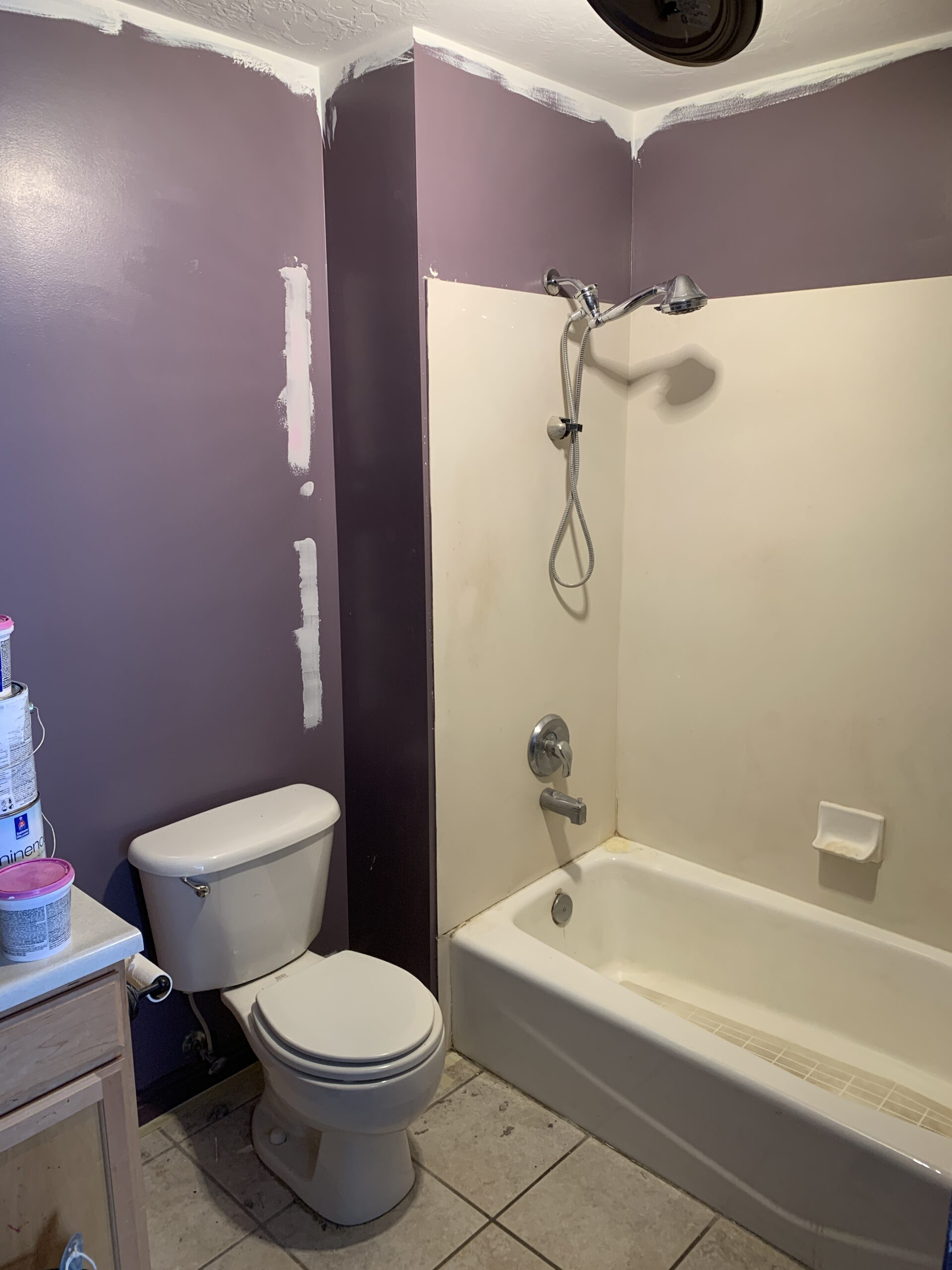 Bathroom Before Painting